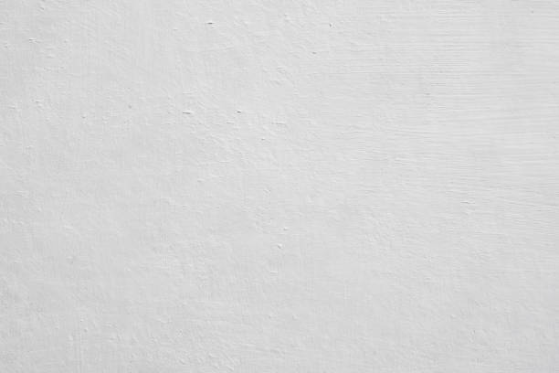 Professional Mold Removal in Eddystone, PA
