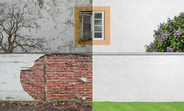 Best Forensic Mold Investigation  in Eddystone, PA