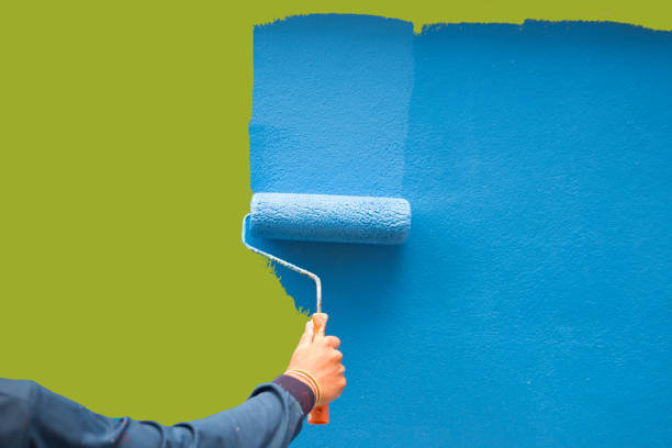 Best Black Mold Removal  in Eddystone, PA